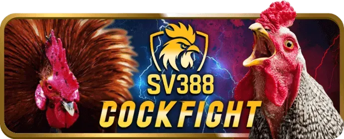 Hỗ trợ khách hàng Suncity88 App 24/7